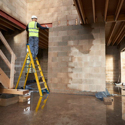 Werner Fibreglass Platform Stepladder 6 Tread