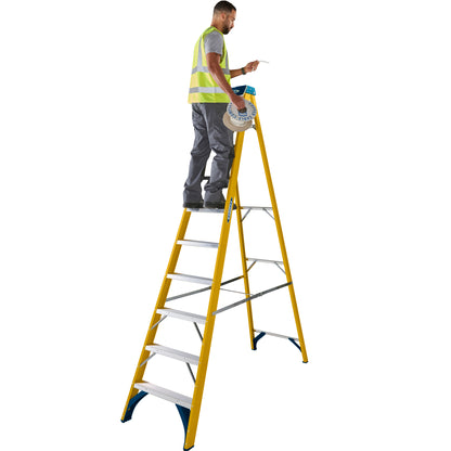 Werner Fibreglass Stepladder 10 Tread